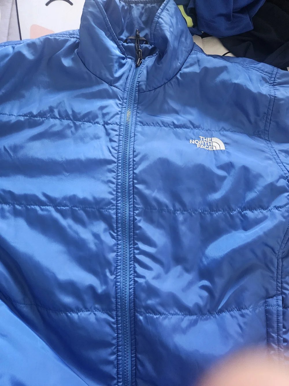 The North Face Men's Blue Puffer Jacket